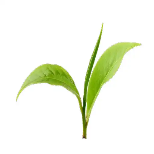 Play myTeaHub - Join the India Larg APK