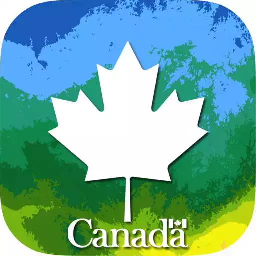 Play My Tree APK Play My Tree APK