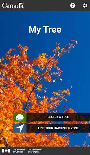 Play My Tree  and enjoy My Tree with UptoPlay