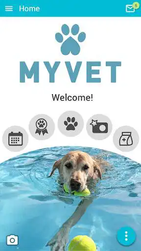 Play My Vet AH  and enjoy My Vet AH with UptoPlay