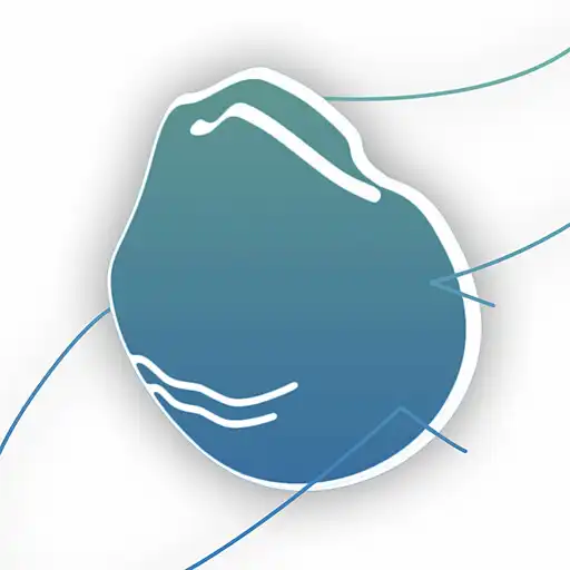 Play N95 Guide APK