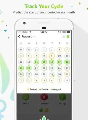 Play Nabta Cycle