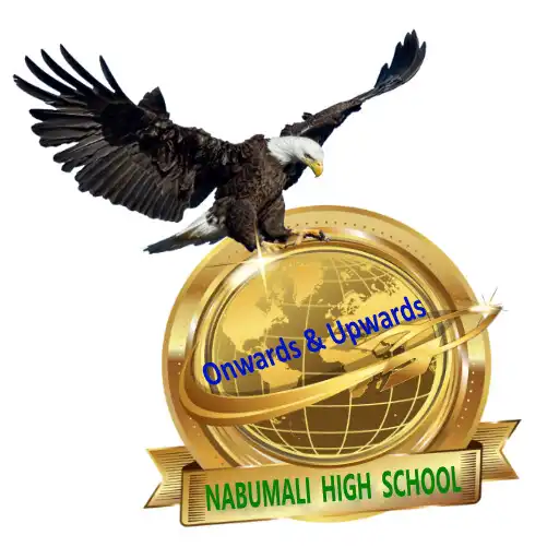 Play Nabumali High School APK