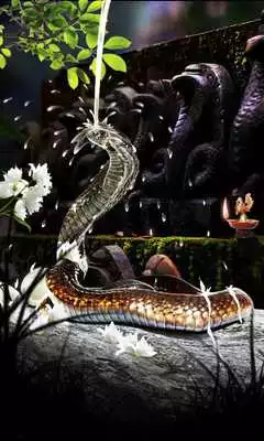 Play Nag Panchami Theme on Mobile