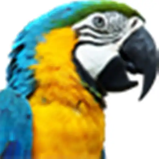 Free play online NaijaParrot App APK