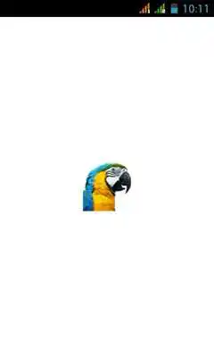 Play NaijaParrot App