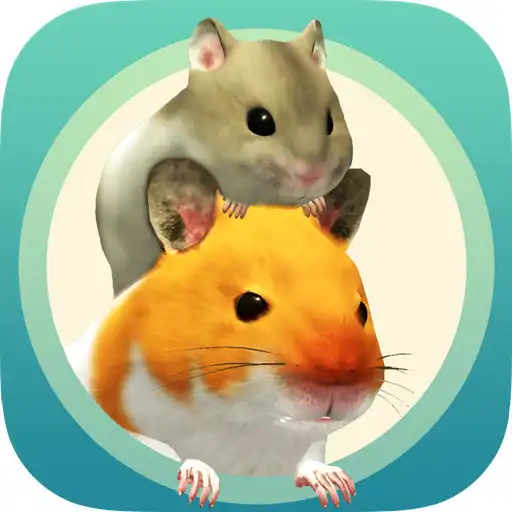 Play Namaham APK Play Namaham APK