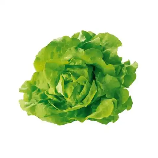 Play Nama Sayuran APK