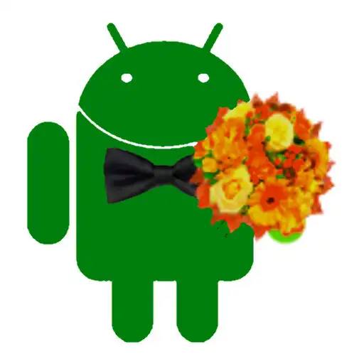 Play Nameday widget APK