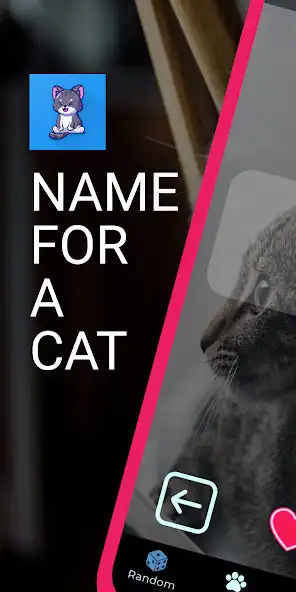 Play Name for a cat and enjoy Name for a cat with UptoPlay Play Name for a cat and enjoy Name for a cat with UptoPlay