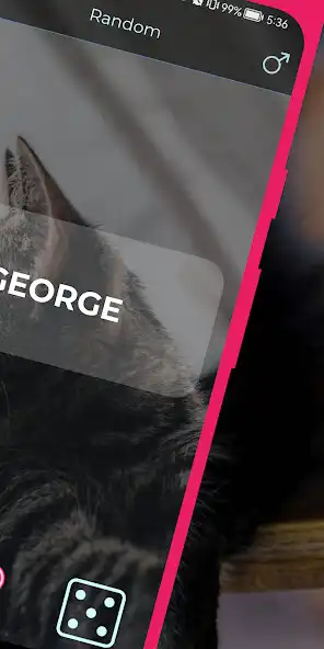 Play Name for a cat as an online game online Name for a cat with UptoPlay Play Name for a cat as an online game Name for a cat with UptoPlay