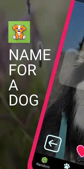 Play Name for a dog and enjoy Name for a dog with UptoPlay Play Name for a dog and enjoy Name for a dog with UptoPlay