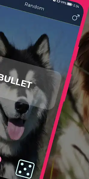 Play Name for a dog as an online game online Name for a dog with UptoPlay Play Name for a dog as an online game Name for a dog with UptoPlay