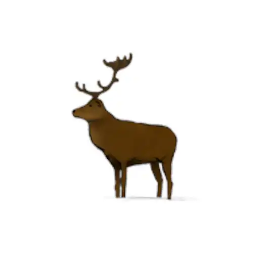 Play Names APK