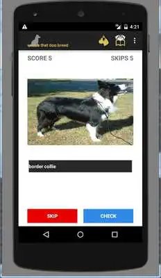 Play Name That Dog Breed