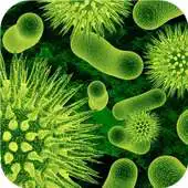 Free play online Nanotech of biology APK