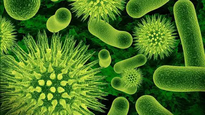 Play Nanotech of biology