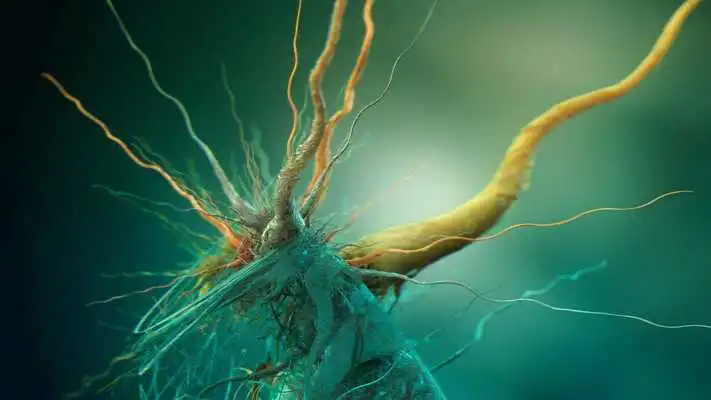 Play Nanotech of biology