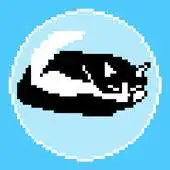 Free play online NAP CATzzz APK Free play online NAP CATzzz APK
