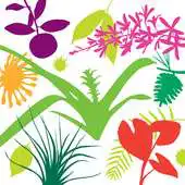 Free play online Naples Botanical Garden APK Free play online Naples Botanical Garden APK