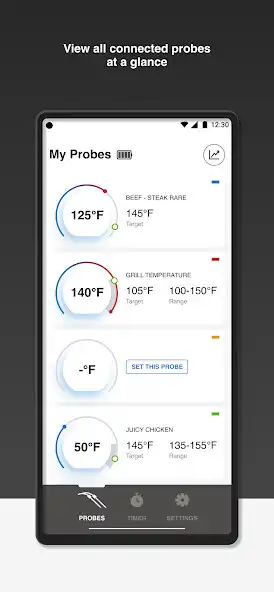 Play Napoleon ACCU-PROBE™ Bluetooth as an online game Napoleon ACCU-PROBE™ Bluetooth with UptoPlay