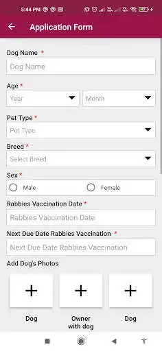 Play NAPR (Noida Authority Pet Reg) as an online game NAPR (Noida Authority Pet Reg) with UptoPlay