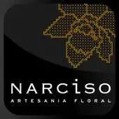 Free play online Narciso APK