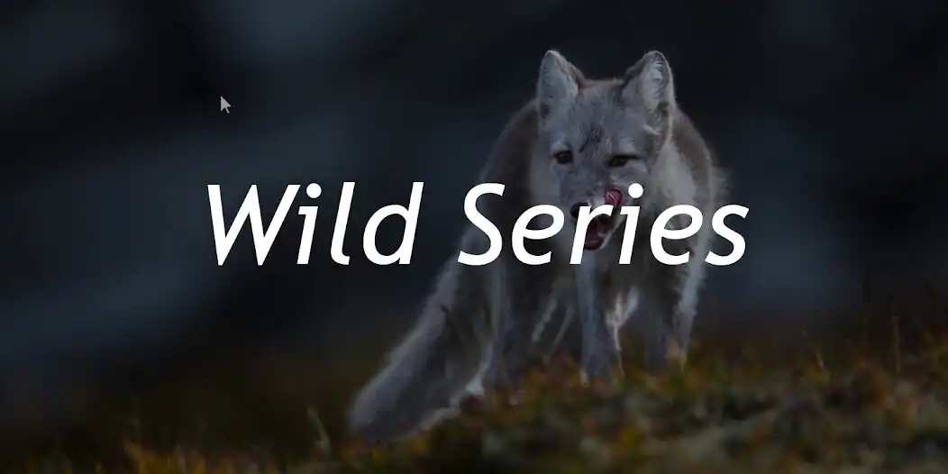 Play Nat Geo Wild: Africa Animals as an online game online Nat Geo Wild: Africa Animals with UptoPlay Play Nat Geo Wild: Africa Animals as an online game Nat Geo Wild: Africa Animals with UptoPlay
