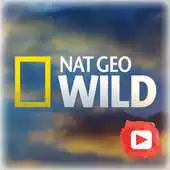Free play online Nat Geo Wild APK