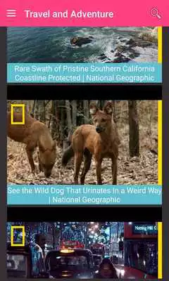 Play Nat Geo Wild