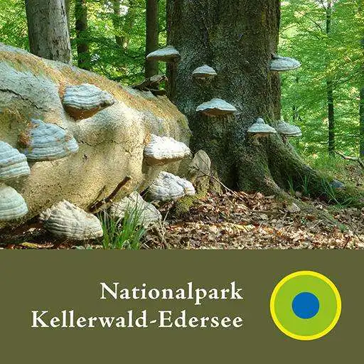 Free play online Nationalpark Kellerwald - en APK Free play online Nationalpark Kellerwald - en APK