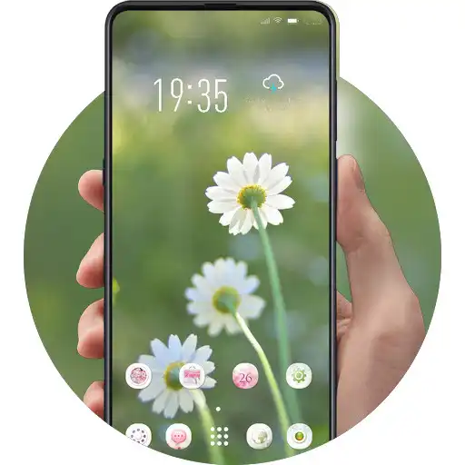 Play Natural blooming white wildflower theme APK