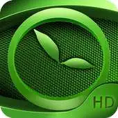 Free play online Natural Clocks APK