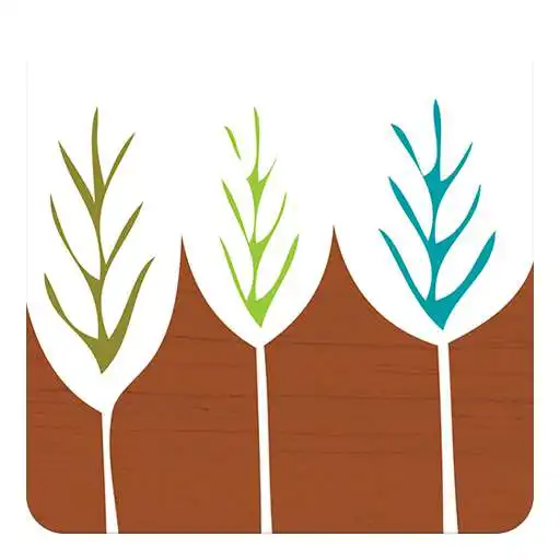 Play Natural Elements APK