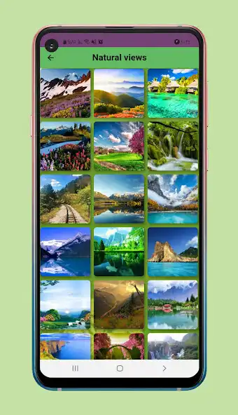 Play Natural Images as an online game Natural Images with UptoPlay