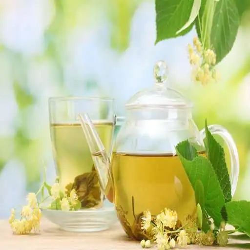 Play Natural medicine for the disease