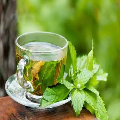 Play Natural medicine for the disease