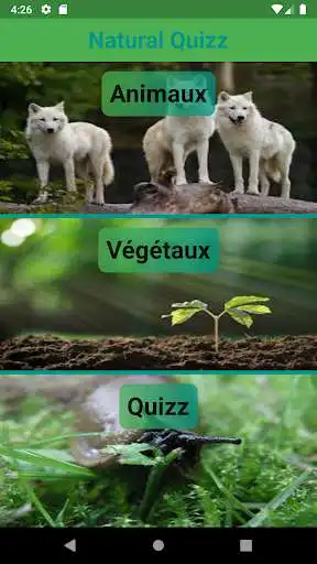 Play NaturalQuiz and enjoy NaturalQuiz with UptoPlay Play NaturalQuiz and enjoy NaturalQuiz with UptoPlay
