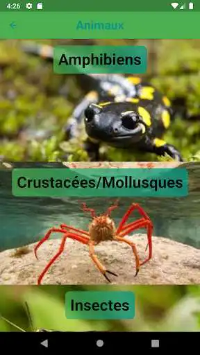 Play NaturalQuiz as an online game online NaturalQuiz with UptoPlay alangrosso.gpn_app Play NaturalQuiz as an online game NaturalQuiz with UptoPlay