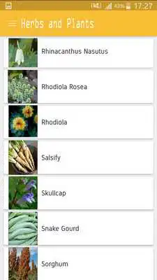 Play Natural Remedies Library