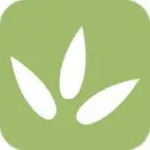 Free play online Natural Rx APK