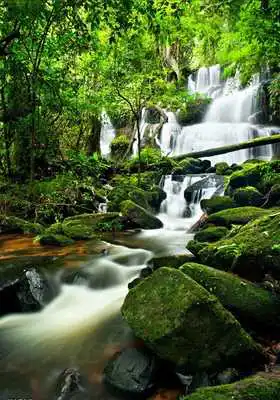Play Natural scenery: Waterfall Play Natural scenery: Waterfall
