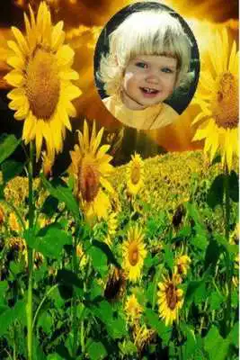 Play Natural Sunflower Photo Frames
