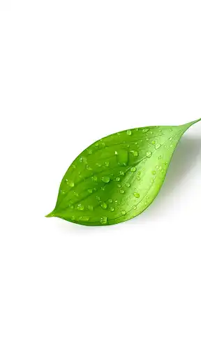 Play Natural Treatments For Psoriasis  and enjoy Natural Treatments For Psoriasis with UptoPlay
