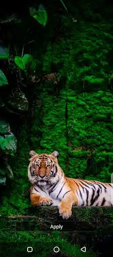 Play Natural Wallpaper 2021 Offline  and enjoy Natural Wallpaper 2021 Offline with UptoPlay