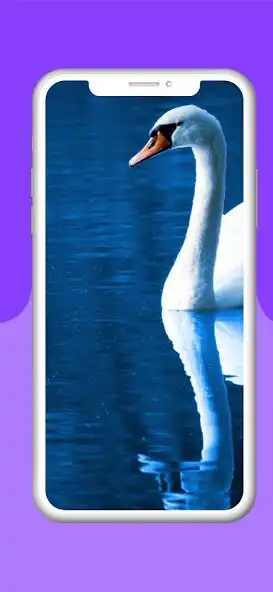 Play Natural Wallpapers 4K as an online game Natural Wallpapers 4K with UptoPlay