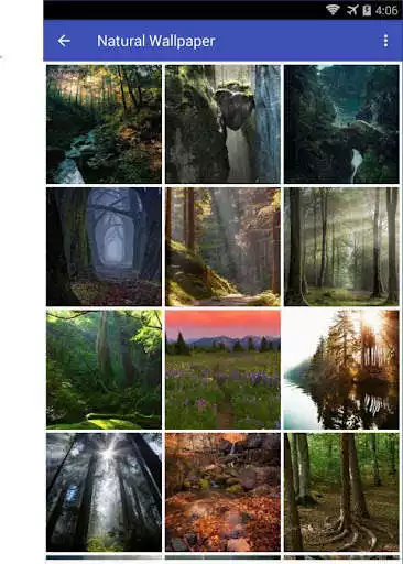 Play Natural Wallpaper
