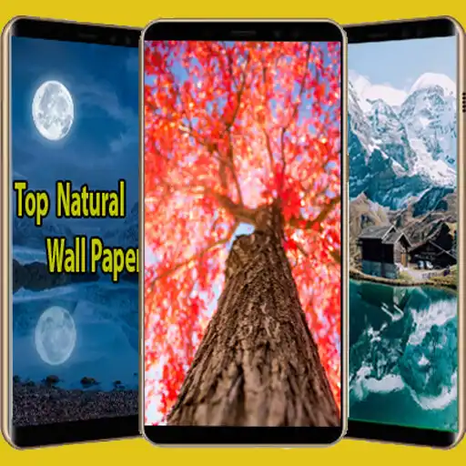 Play Natural Wallpapers APK Play Natural Wallpapers APK