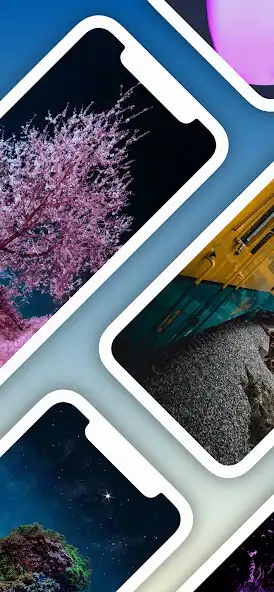 Play Natural Wallpapers Latest 2023  and enjoy Natural Wallpapers Latest 2023 with UptoPlay