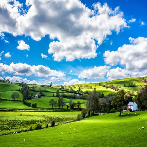 Play Nature 4k Wallpaper APK Play Nature 4k Wallpaper APK